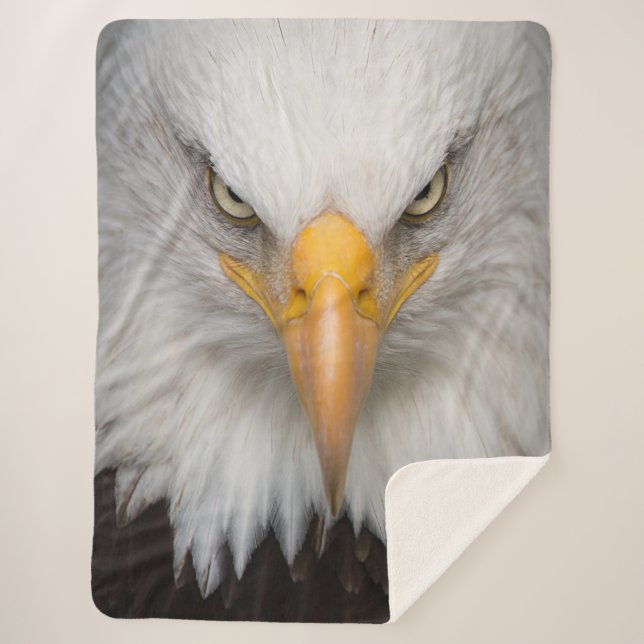Bald Eagle Sherpa Blanket (Front)
