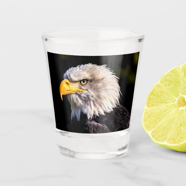 Bald Eagle Shot Glass (Front)