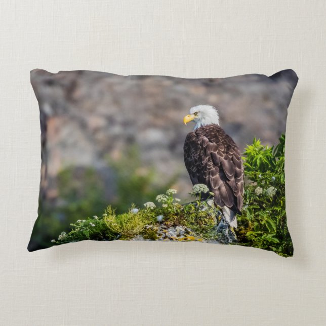Bald eagle sitting on the rock accent pillow (Back)