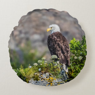 Bald eagle sitting on the rock round pillow