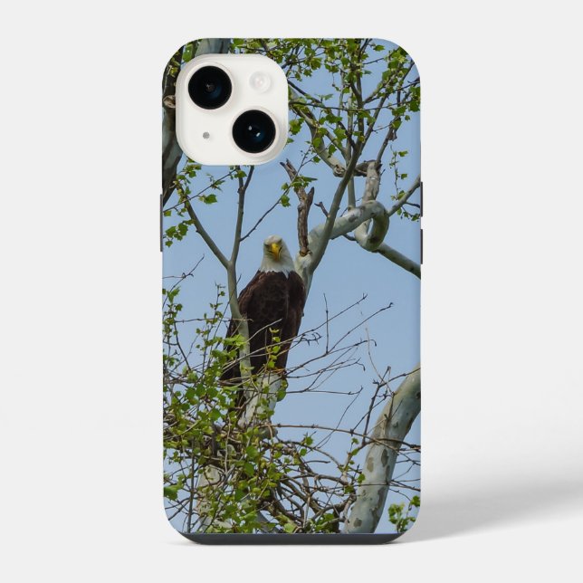 Bald Eagle Smile iPhone Case (Back)