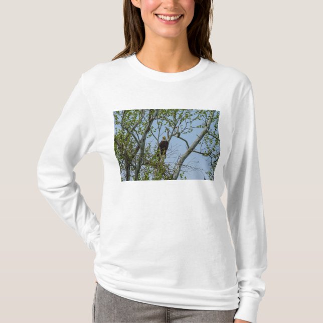 Bald Eagle Smile T-Shirt (Front)