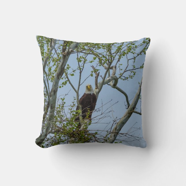 Bald Eagle Smile Throw Pillow (Front)