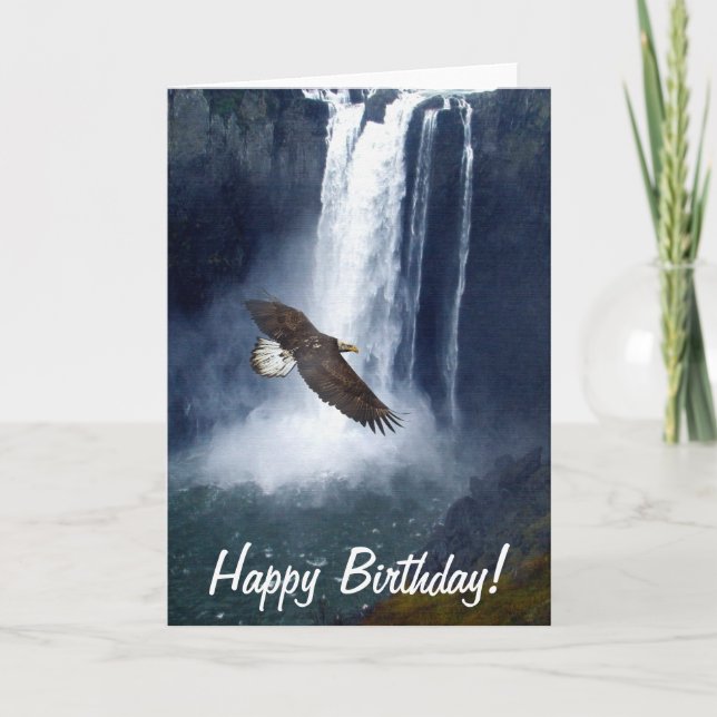 Bald Eagle & Snoqualmie Falls Cartes de voeux (Devant)