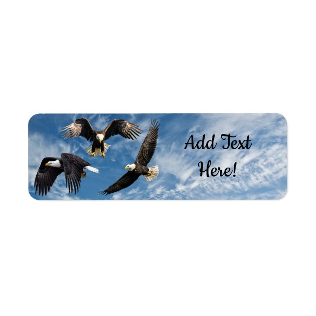 Bald Eagle Soaring (Front)
