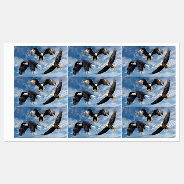 Bald Eagle Soaring (Sheet)