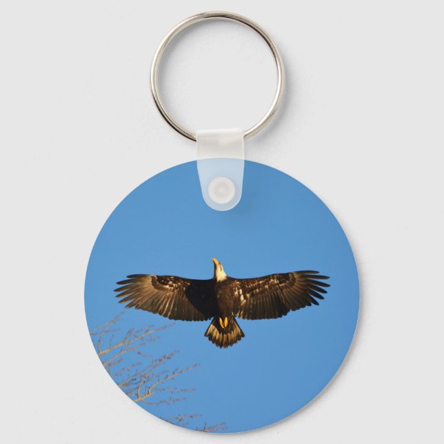 Bald Eagle Soaring1 Keychain (Front)