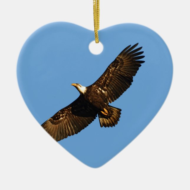 Bald Eagle Soaring 2 Ceramic Ornament (Front)