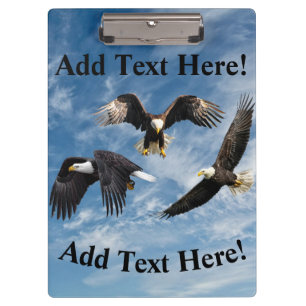 Bald Eagle Soaring Clipboard