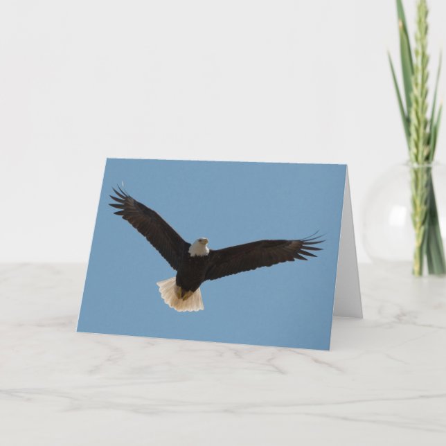 Bald Eagle Soaring-Frameable Art Card (Front)