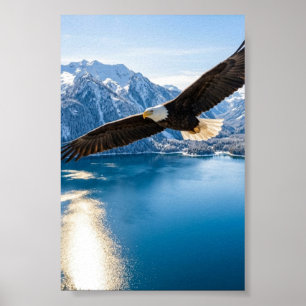 Bald Eagle Soaring Mountain Lake Matte Poster