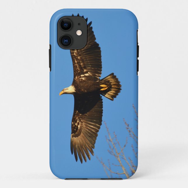 Bald Eagle Soaring Over Trees Case-Mate iPhone Case (Back)