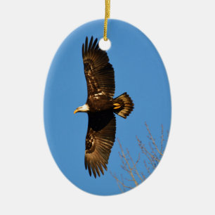 Bald Eagle Soaring Over Trees Ceramic Ornament