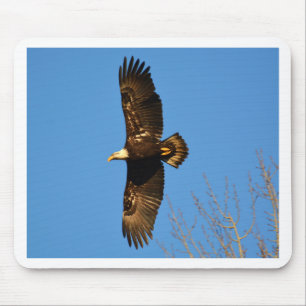 Bald Eagle Soaring Over Trees Mouse Pad