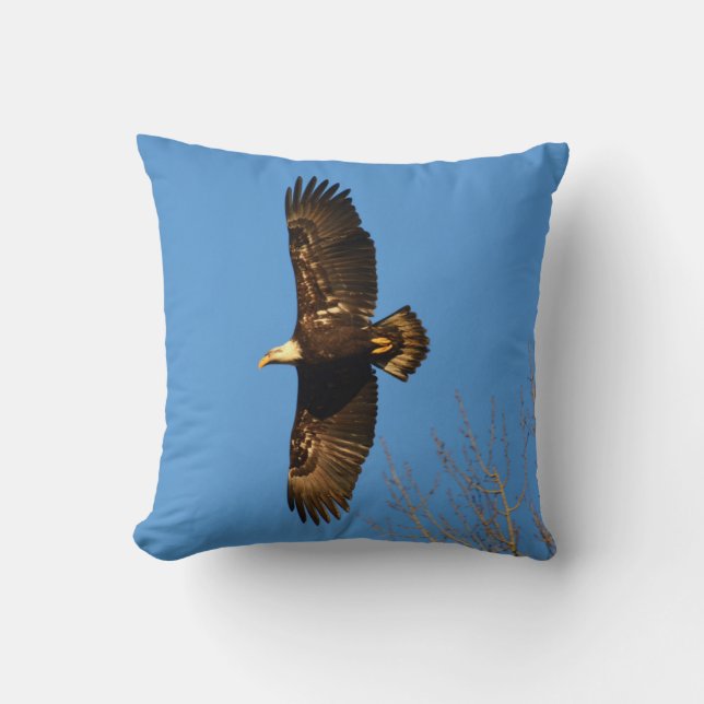 Bald Eagle Soaring Over Trees Pillow (Front)