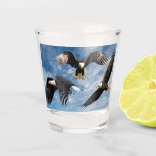 Bald Eagle Soaring Shot Glass