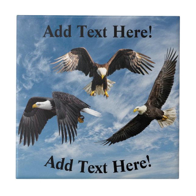 Bald Eagle Soaring Tile (Front)