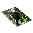 Bald Eagle Spiral Photo Notebook