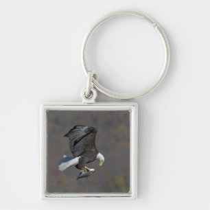 Bald Eagle staring at a fish Keychain