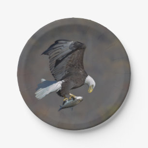 Bald Eagle staring at a fish Paper Plate