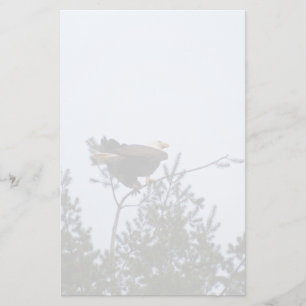 Bald Eagle Stationery