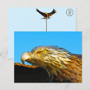 Bald Eagle Statue Postcard