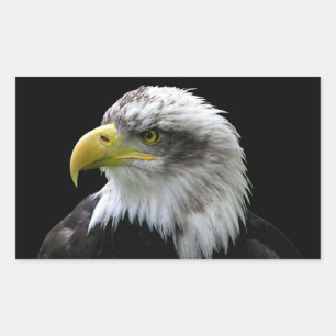 Bald Eagle Sticker