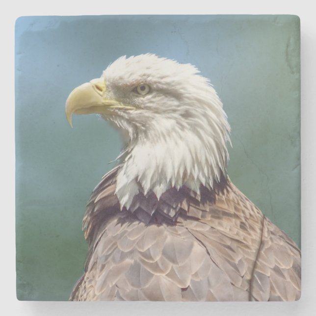 Bald Eagle Stone Coaster (Front)