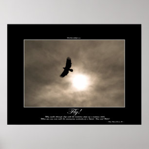 Bald Eagle & Sun Photo Poster