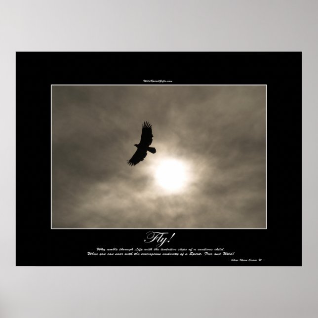 Bald Eagle & Sun Photo Poster (Front)