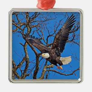 Bald Eagle taking flight Metal Ornament
