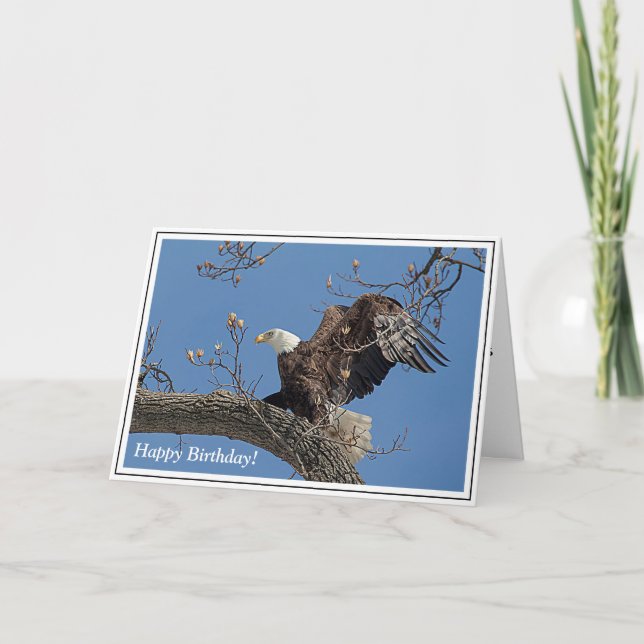 Bald Eagle taking off Card (Front)