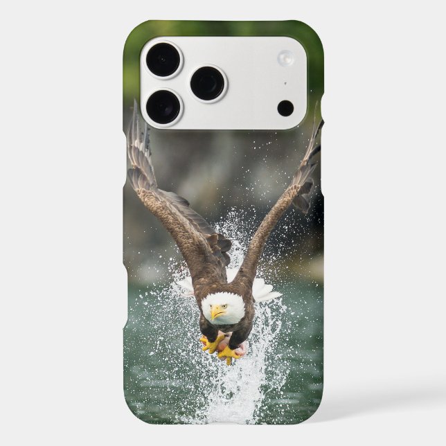 Bald Eagle The Big Catch (Back)