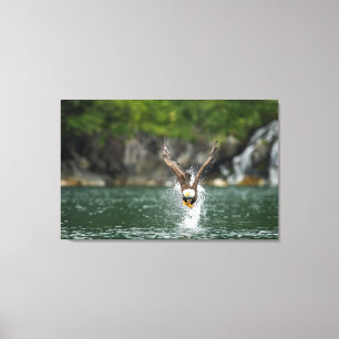 Bald Eagle The Big Catch Canvas Print