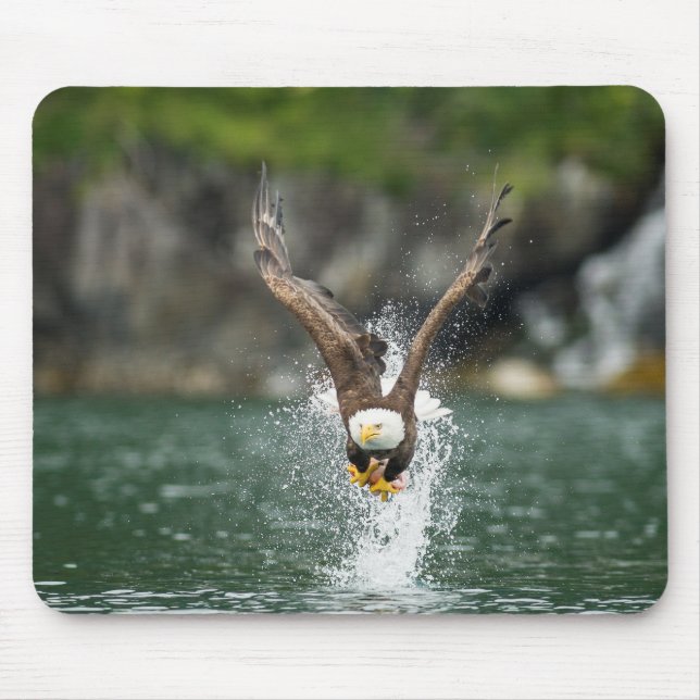 Bald Eagle The Big Catch Mouse Pad (Front)
