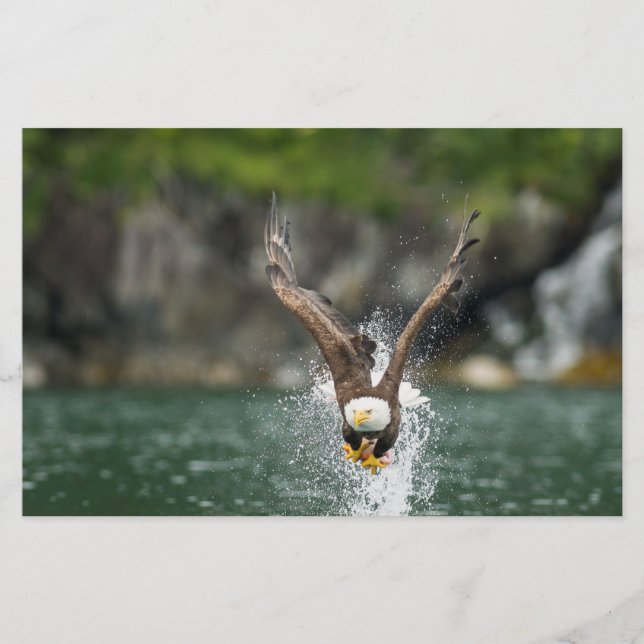 Bald Eagle The Big Catch Stationery (Front)