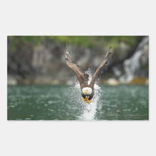 Bald Eagle The Big Catch Sticker