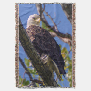 Bald Eagle Throw Blanket