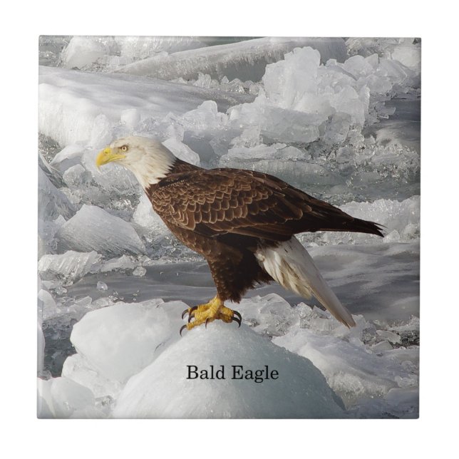 Bald Eagle tile (Front)