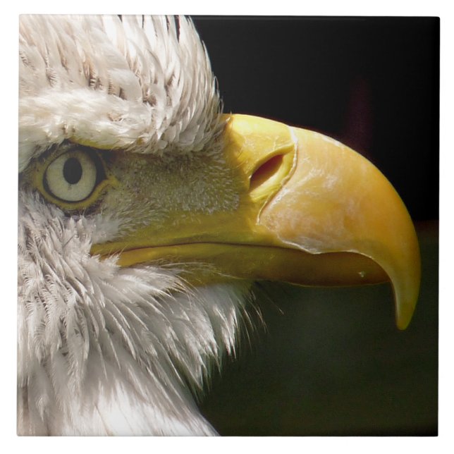 BALD EAGLE TILE (Front)