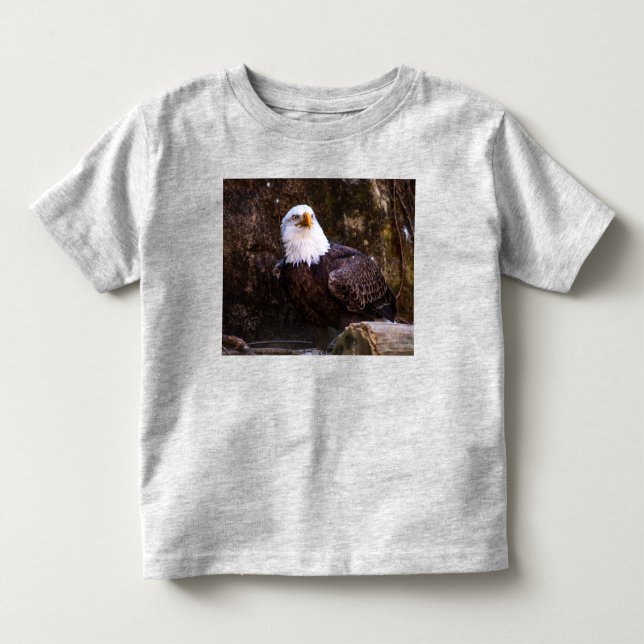 Bald Eagle Toddler T-Shirt (Front)