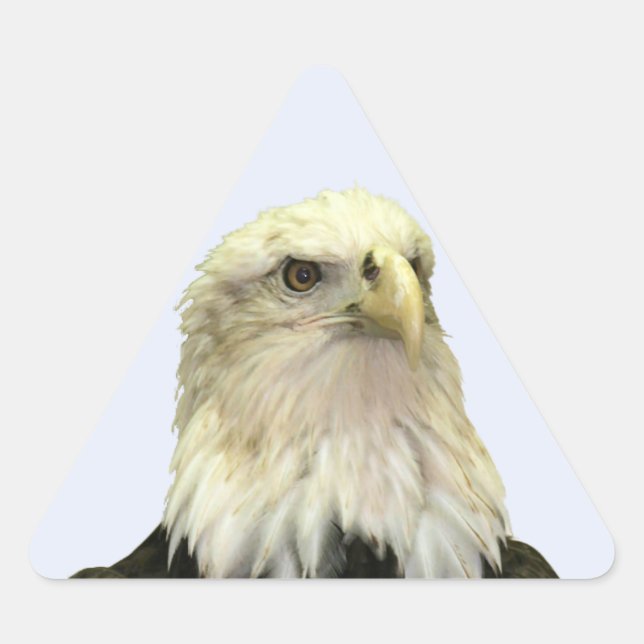 Bald Eagle Triangle Sticker (Front)