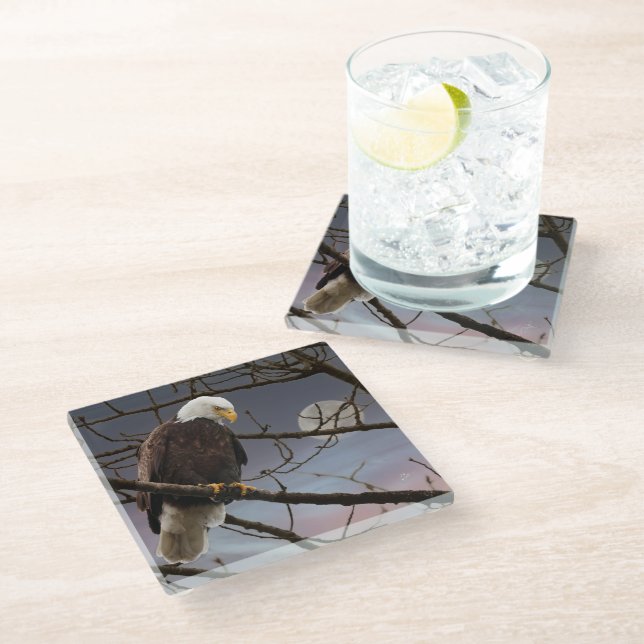 Bald Eagle Under Full Moon Wildlife Glass Coaster (Angled)