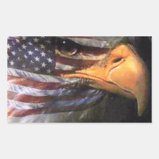 Bald Eagle - USA Flag Sticker (Front)