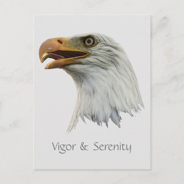 Bald Eagle Vigour & Serenity customizable Postcard (Front)