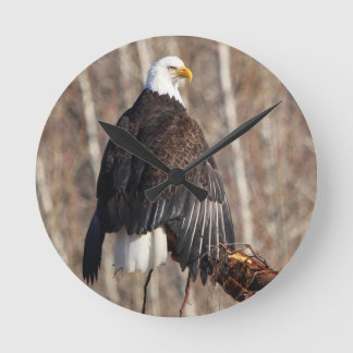Bald Eagle Wall Clock