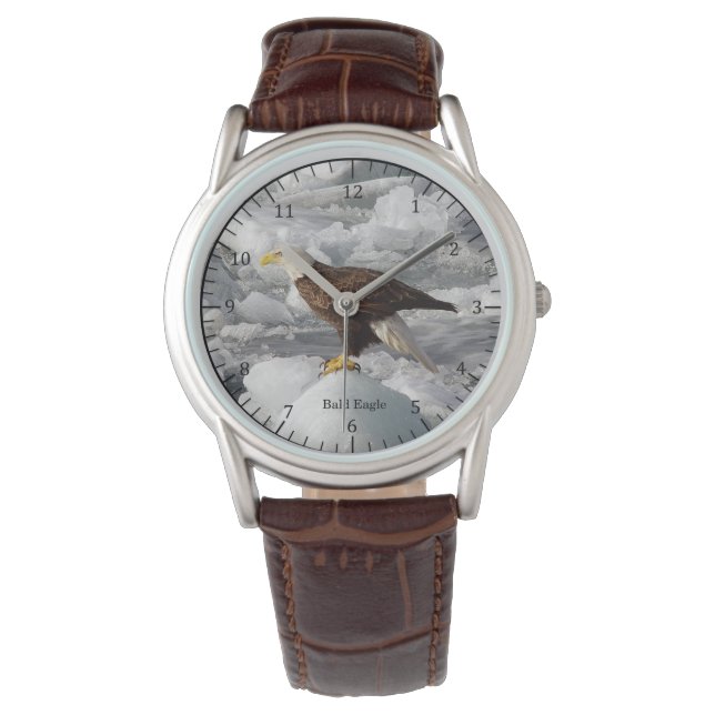 Bald Eagle watch (Front)