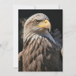 Bald Eagle Wild Animal Elegant Dramatic Portrait  Announcement