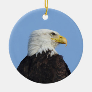 Bald eagle, wildlife, birds, ceramic ornament
