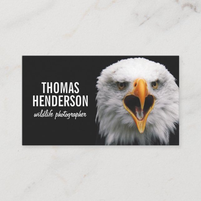 Bald Eagle Wildlife Photographer Business Card (Front)